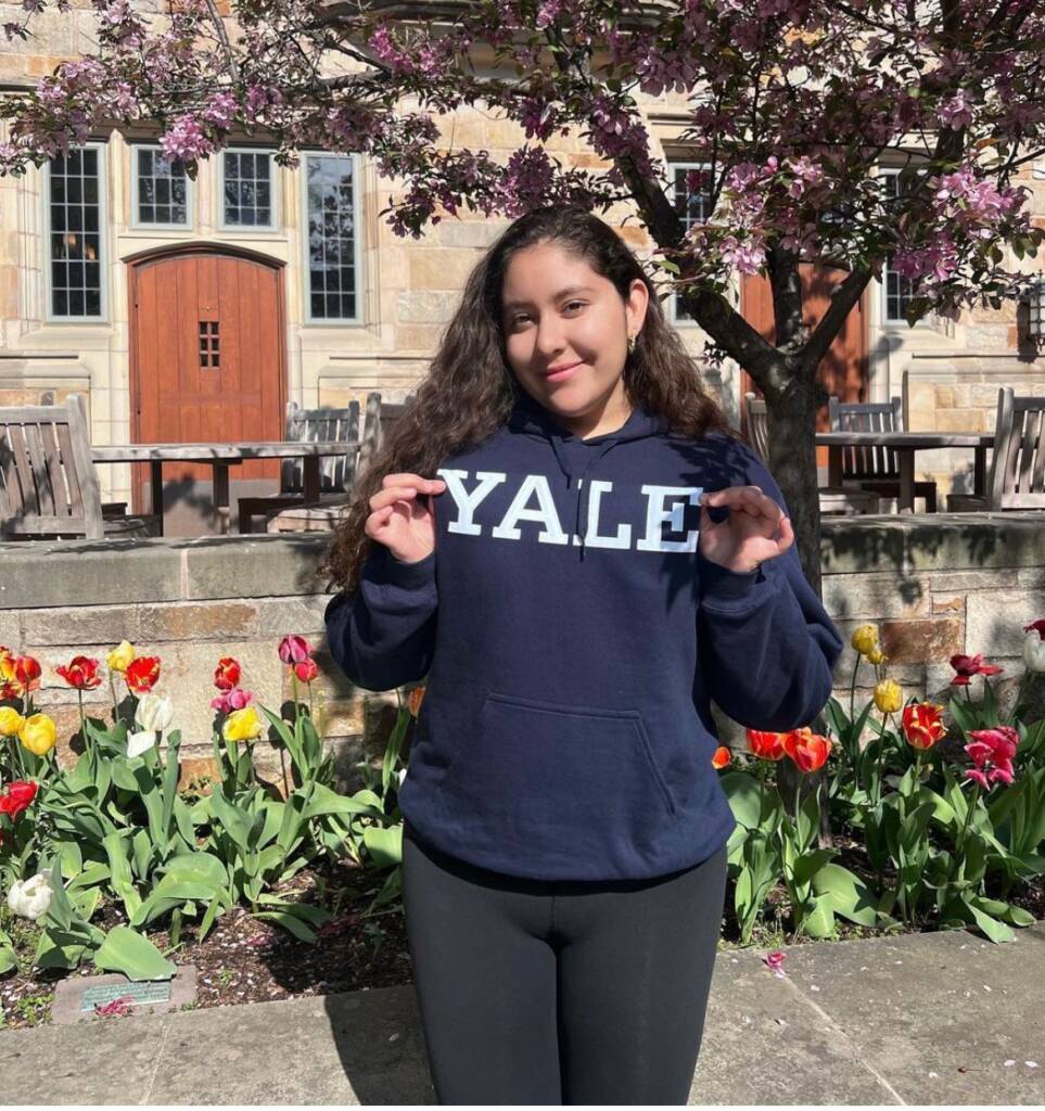 Why Yale?